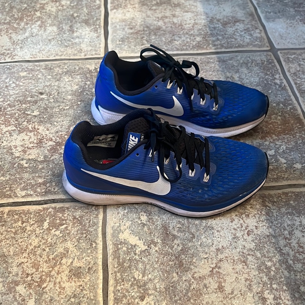 Nike Zoom Pegasus 34